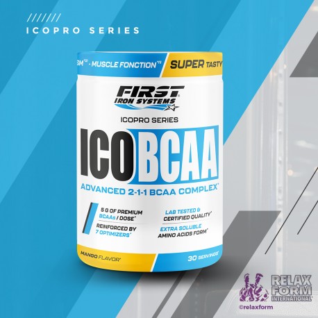 ICOBCAA - FIRST IRON SYSTEMS